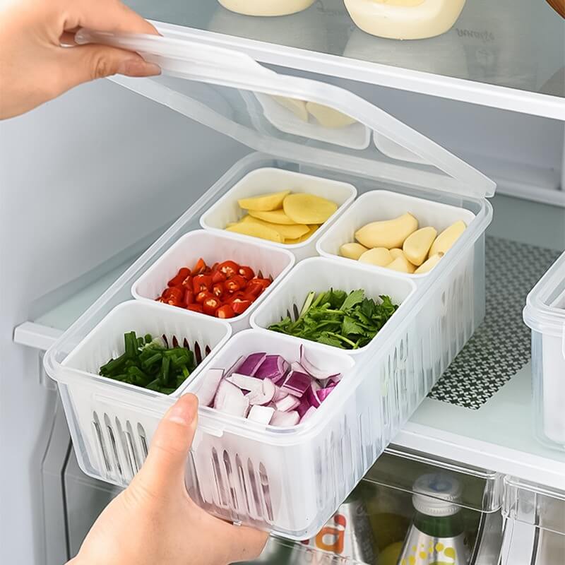 Organizador Fresh com Divisorias Cabana Real