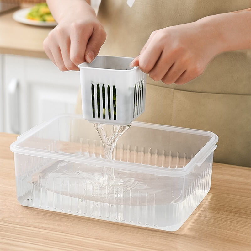 Organizador Fresh com Divisorias Cabana Real