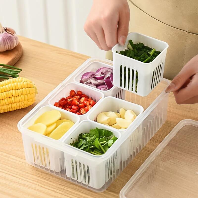 Organizador Fresh com Divisorias Cabana Real