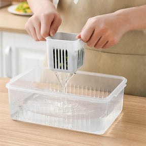 Organizador Fresh com Divisorias Cabana Real
