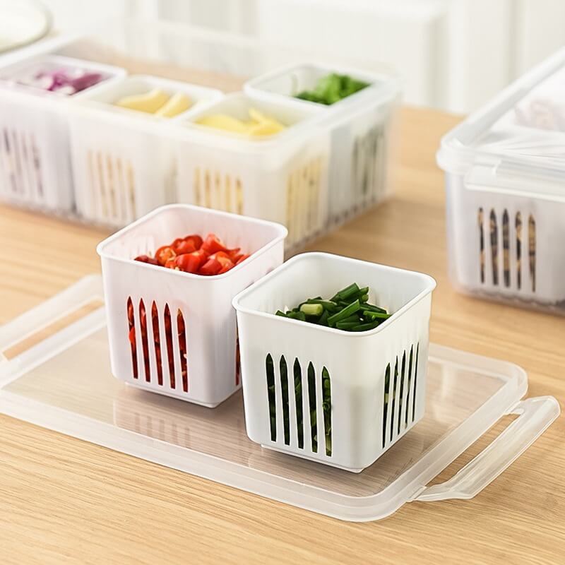 Organizador Fresh com Divisorias Cabana Real